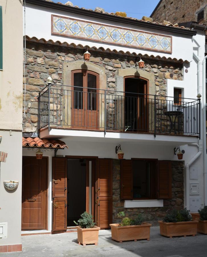 Ficodindia & Apartment